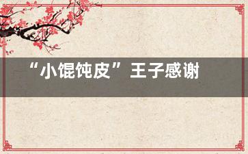 “小馄饨皮”王子感谢网友的表情包 这个王子怪可爱的